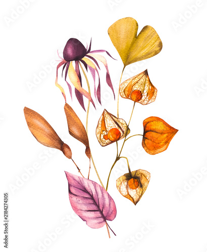 Autumn Halloween bouquet of dried leaves and flowers. Autumn bouquet for seasonal design, tableware, textiles, clothing, and printing.