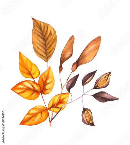 Autumn Halloween bouquet of dried leaves and flowers. Autumn bouquet for seasonal design, tableware, textiles, clothing, and printing.