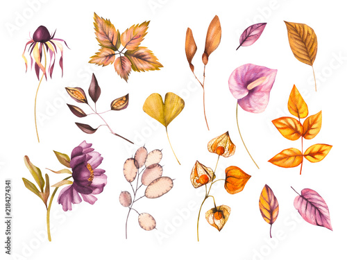 Autumn Halloween is a set of individual hand-drawn elements of dried leaves and flowers for seasonal design, tableware, textiles, clothing, and printing.