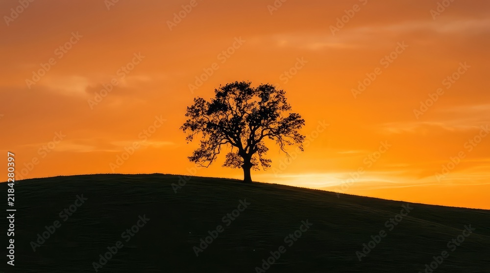 Fototapeta premium Lone Oak Tree Silhouette Against Vibrant Sunset Sky