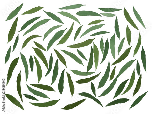 Una composizione piatta di foglie di eucalipto verde allungate disposte in modo casuale su uno sfondo bianco puro, ideale per design botanici, texture naturali e progetti grafici minimalisti ed