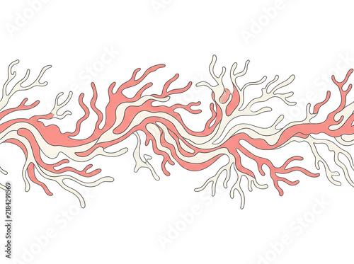 Bordo decorativo senza giunture con motivo di coralli stilizzati in tonalità rosa pastello e crema su sfondo bianco, ideale per design nautici, grafiche estive o elementi decorativi per il web.