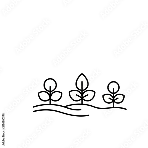 Three Plants Growing on a Hill