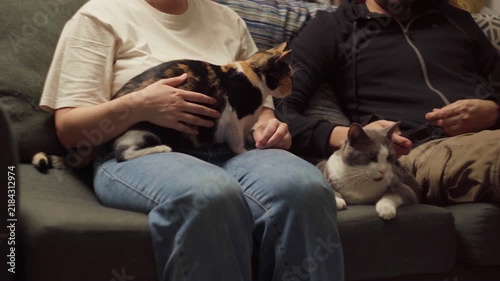 Affectionate couple cuddling with two cats on sofa while watching streaming movie at home