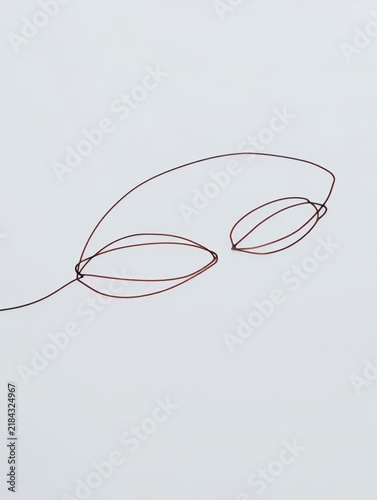 Minimalist Line Art of Two Eyes