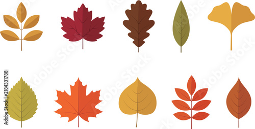 秋の葉っぱ・紅葉のベクター素材セット