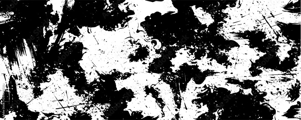 Fototapeta premium Black and White Grunge Ink Splatter Vector Texture Background