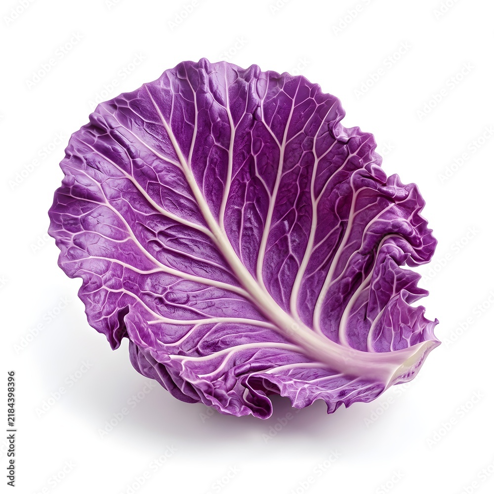Obraz premium cabbage isolated on white background