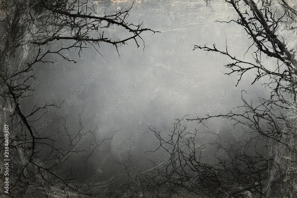 Obraz premium Vintage Halloween paper background with faded gray fog and dark thorny branches creating spooky eerie atmosphere