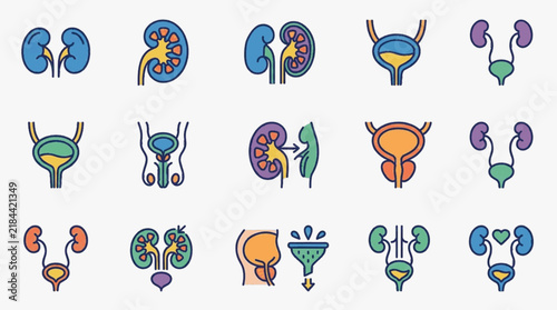 Collection of 15 medical icons depicting the human urinary system, including kidneys, bladder, ureters, and prostate gland, in a stylized colorful flat line art style for healthcare.