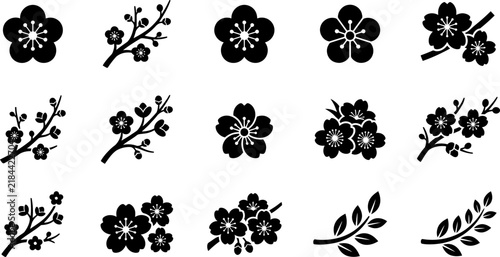Cherry blossom and flower branches vector icons set, spring floral silhouettes collection