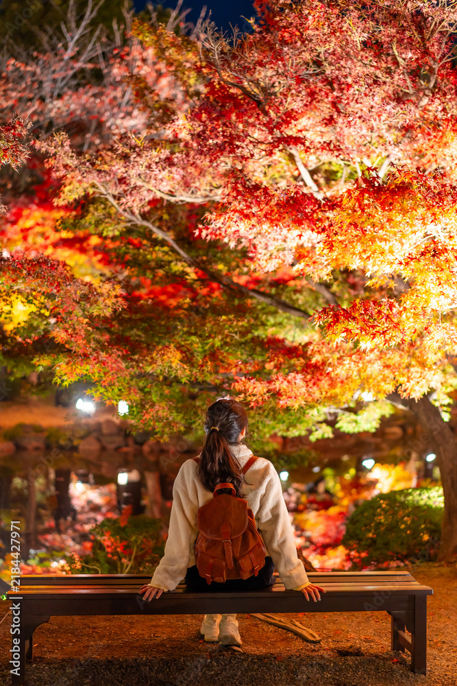 Obraz premium Back view of a female tourist relaxing and looking at illuminated red maple trees during the fall season in Kyoto, Japan