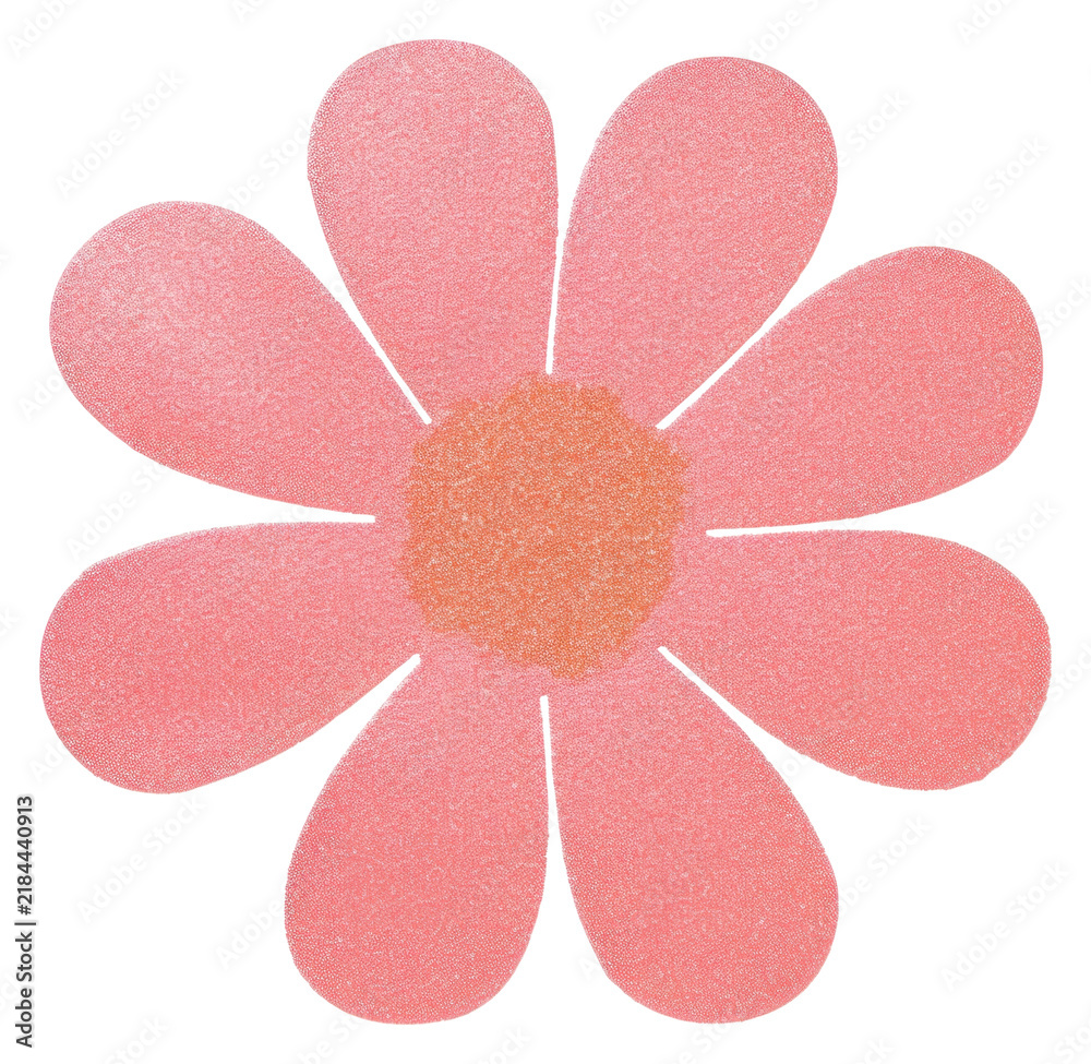 Obraz premium PNG Flower petal plant daisy.