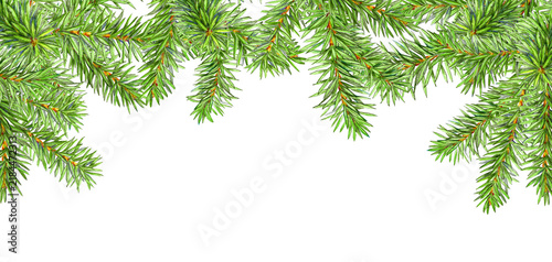 Hand drawn with color pencils header, winter greenery, Fir branches in the top of frame