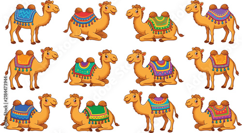 Obraz na plátně cute cartoon two humped camels with colorful saddles vector illustration design