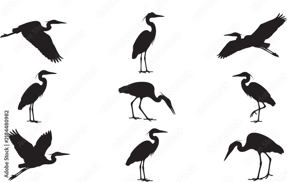 Fototapeta premium Heron Bird Silhouette Collection Black Heron And Wading Bird Poses Flying Standing And Feeding Wildlife Illustrations Isolated On White Background Nature Vector Design Set