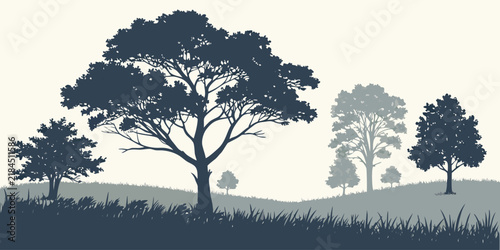 Silhouette illustration of a forest landscape with grassy field and various trees
