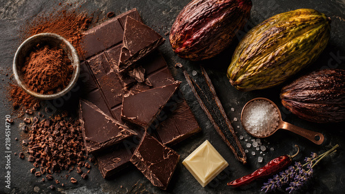 Dark moody bean-to-bar chocolate flatlay overhead with broken dark bar cacao pods nibs vanilla cocoa powder sea salt fleur de sel slate surface