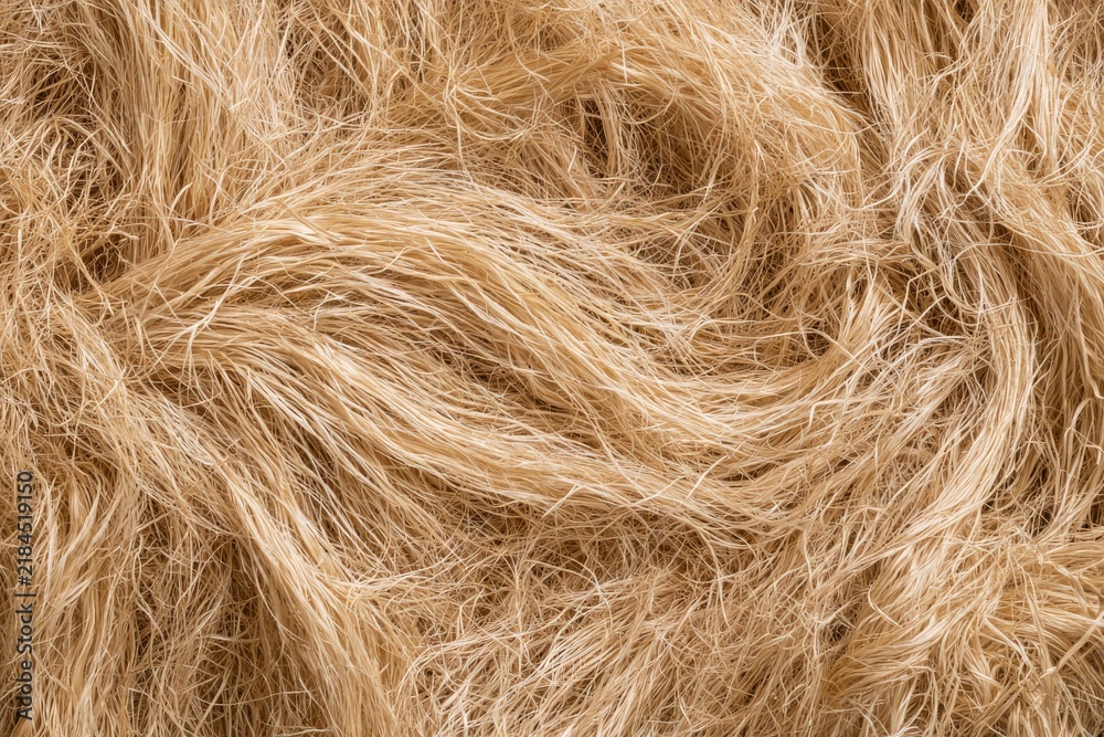Fototapeta premium Texture of natural fibers in soft tan color spread over a surface