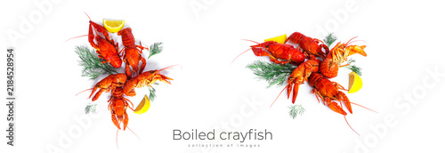 Fotografie Boiled crayfish with dill and lemon isolated on a white background