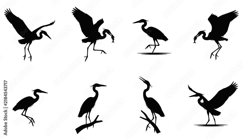 Fototapeta premium Black silhouette set of herons and egrets in various flying and standing poses
