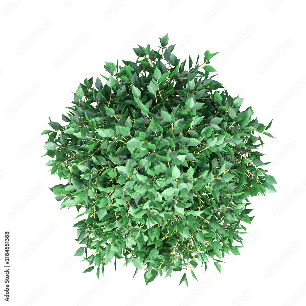 Obraz premium deciduous tree, isolate on a transparent background, 3d illustration