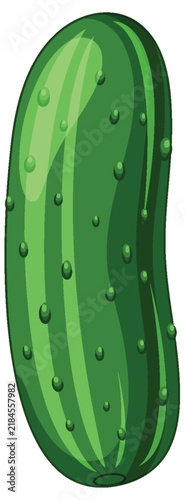 Fresh Green Cucumber Vector Illustration Isolated on White Background