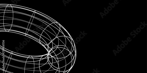 Abstract white wireframe torus with intricate geometric curves and mesh lines on a black background
