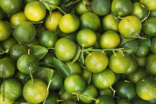 Many fresh calamansi limes as background	