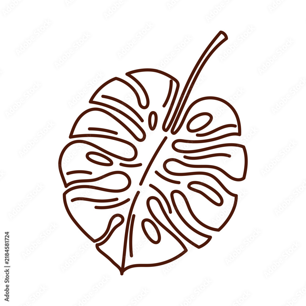 Fototapeta premium Single tropical monstera leaf outline drawing isolated on white background vector illustration
