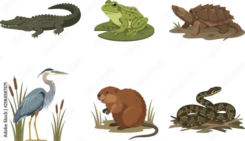 Fototapeta premium A collection of diverse wetland animals including a crocodile frog turtle heron beaver and snake.