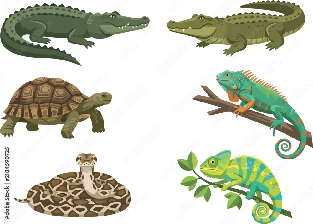 Fototapeta premium A collection of various reptiles including crocodiles a turtle an iguana a snake and a chameleon.