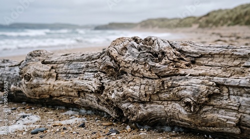Weathered driftwood log on sandy beach with ocean waves