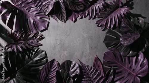 Purple tropical leaves on grey concrete background