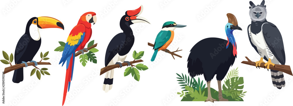 Obraz premium A collection of colorful exotic birds including toucans parrots and cassowaries.
