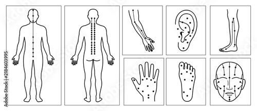 Human body anatomy line icon set with front back arm ear hand and foot diagrams, acupuncture massage therapy vector collection for medical and wellness treatment design elements for design collection
