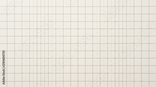Grid Paper Texture, Graph Lines, Scientific Background, Minimalist Design