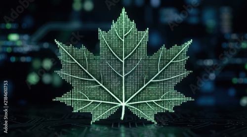 Digital leaf shape made of binary code representing esg reporting standards in technology and environment concept