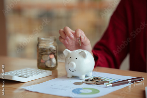 The close-up image shows a young woman planning her personal finances at home, using a piggy bank, calculator, and coins—symbols of saving, budgeting, investing, income, and future financial security.