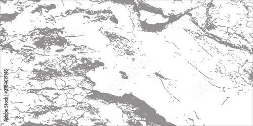 Abstract Grayscale Marble Texture With Cracked Paint Pattern And Map-Like Lines
