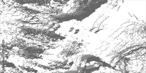 Abstract Grayscale Marble Texture With Cracked Paint Pattern And Map-Like Lines