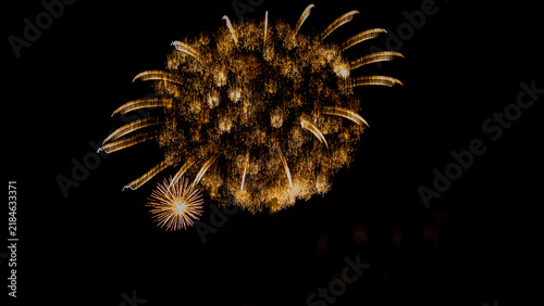 Plakat Fuegos artificiales