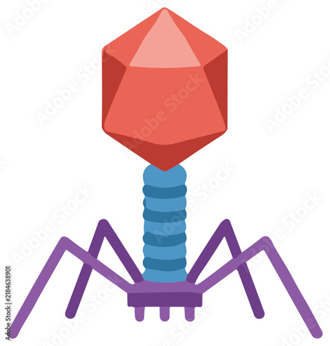 Bacteriophage virus scientific vector illustration. Educational diagram of a virus structure showing the icosahedral head, helical sheath, and tail fibers on a black background.