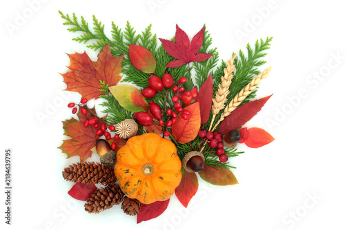Bild auf Leinwand Halloween and vivid Autumn nature colorful flora on white background