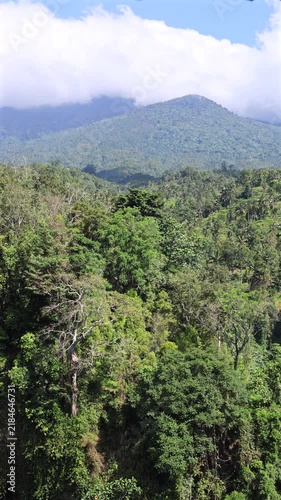 Mountain panorama overlooks lush forested hills beneath low clouds, with layered green slopes stretching into distance. Mountain panorama presents calm tropical wilderness and broad valley views