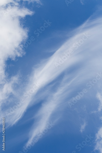Quadro su tela The cloudy blue summer Sky