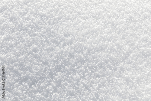 Фотография Soft snowflakes blanket the ground in pristine white