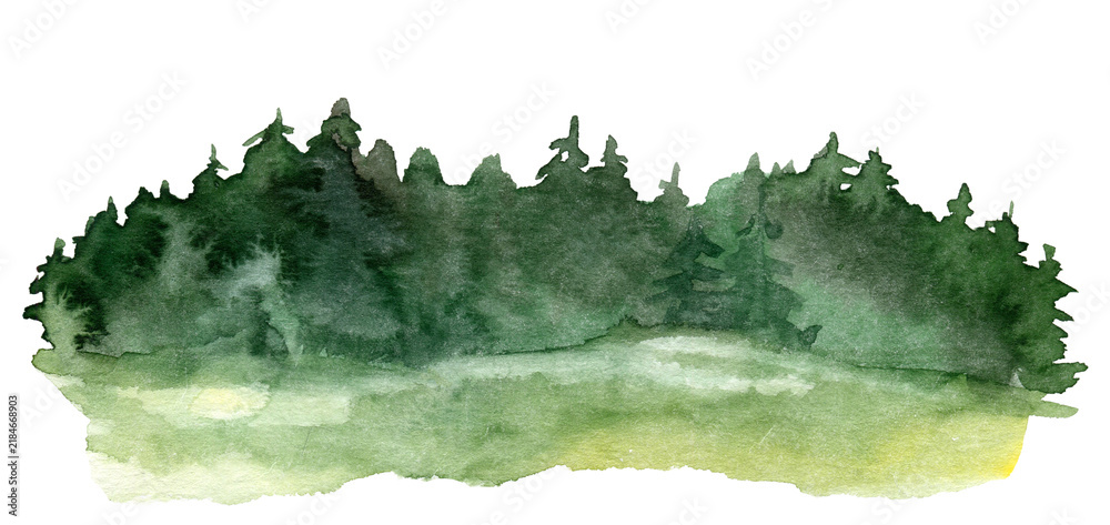 Obraz premium Watercolor green forest edge with fir trees over a bright summer meadow