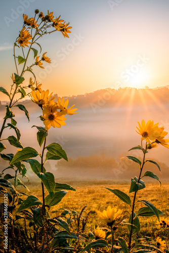 sunset over the foggy valley, sunrise