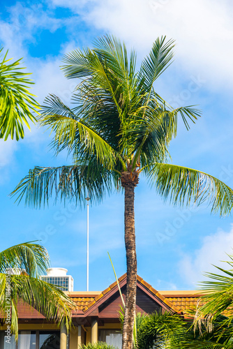 Elegant Marriott Phuket hillside resort with rainforest palms pools pathways Thailand.